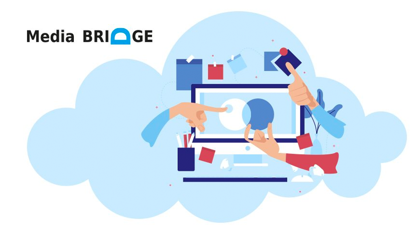 Tiger Technology Media Bridge